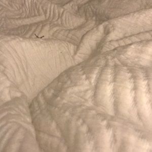 Meet your Posher, Deborah